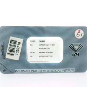 6=0.26ct 7P SI Round Pink Diamonds in IGI Case